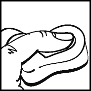 ����� �� �������.